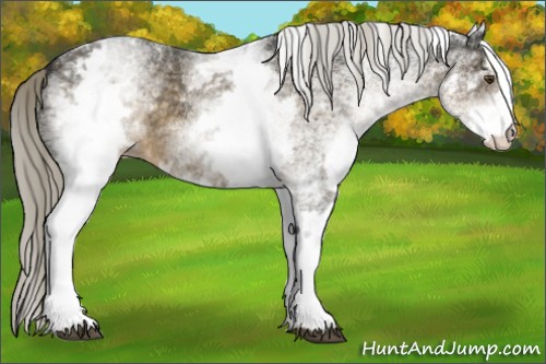 Horse Color:White Spotted Chocolate Palomino Mushroom 