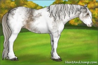 Horse Color:White Spotted Chocolate Palomino Mushroom 
