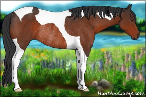 Horse Color:Brown Tobiano Rabicano