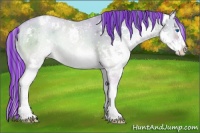 Horse Color:Painted Watercolor White Spotted Buckskin Pearl Onyx Splash 