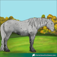 Horse Color:ERROR: UNKNOWN ANOMALY
