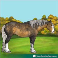 Horse Color:Silver Buckskin 