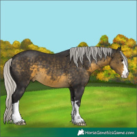 Horse Color:Silver Buckskin 