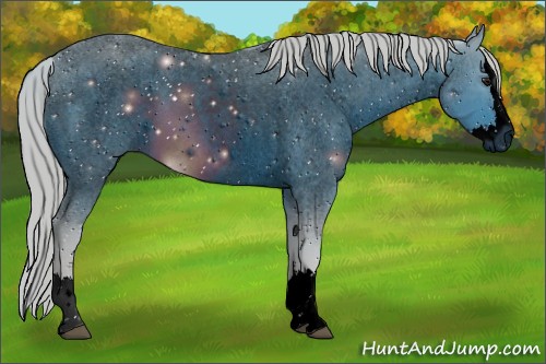 Horse Color:ERROR: UNKNOWN ANOMALY