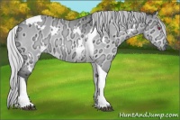 Horse Color:White Spotted Silver Brown Chinchilla Ice Dun Tobiano 