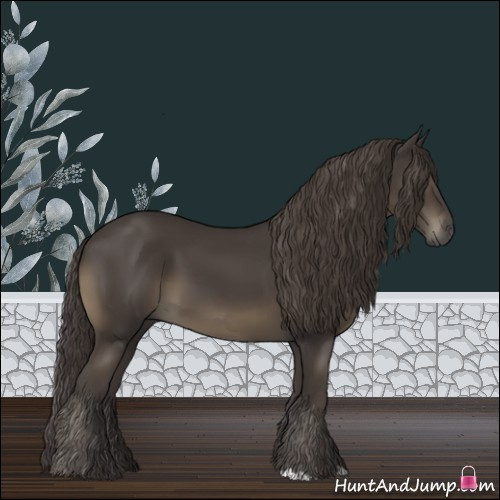 Horse Color:Smoky Black 
