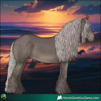 Horse Color:Silver Black 