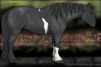 Horse Color:Blue Roan Tobiano 