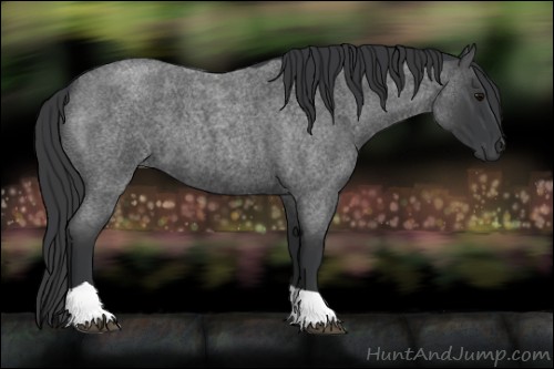 Horse Color:Blue Roan Tobiano 