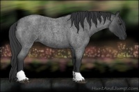 Horse Color:Blue Roan Tobiano 