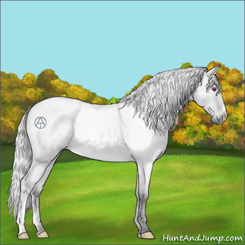 Horse Color:Silver Buckskin Chinchilla Ice Roan Rabicano 