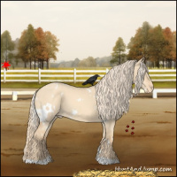 Horse Color:White Spotted Gold Champagne Dun Varnish 