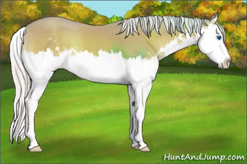 Horse Color:Watercolor Chocolate Silver Classic Cream Champagne Onyx Sabino Splash 