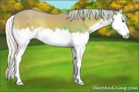 Horse Color:Watercolor Chocolate Silver Classic Cream Champagne Onyx Sabino Splash 