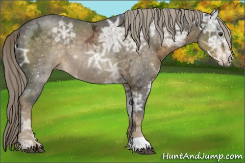 Horse Color:Chocolate Palomino Ice 