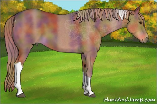 Horse Color:Nacre Liver Chestnut Tobiano 