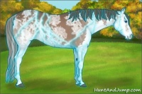 Horse Color:Thunderstruck Liver Chestnut Ice Splash 