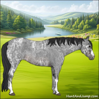 Horse Color:Brown Ice Roan Varnish 