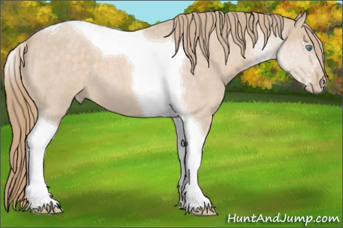 Horse Color:Perlino Roan Tobiano 