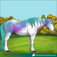 Horse Color:Watercolor White Spotted Brown Varnish