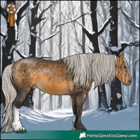 Horse Color:Silver Buckskin Tobiano 