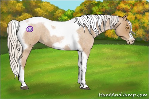 Horse Color:Silver Blue Roan Pearl Tobiano Frame