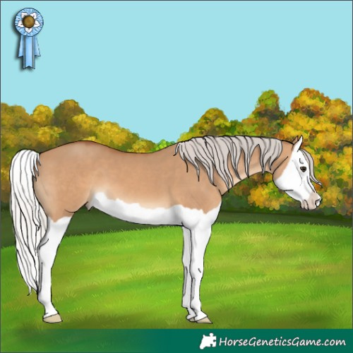 Horse Color:Silver Bay Dun Splash 