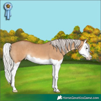 Horse Color:Silver Bay Dun Splash 