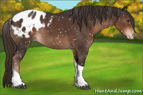 Horse Color:Liver Chestnut Tobiano Blanket Rabicano