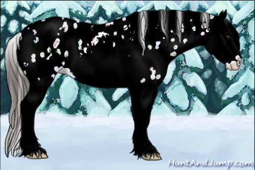 Horse Color:White Spotted Liver Chestnut Ice Splash Leopard 