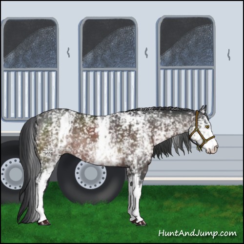 Horse Color:Platinum White Spotted Brown 