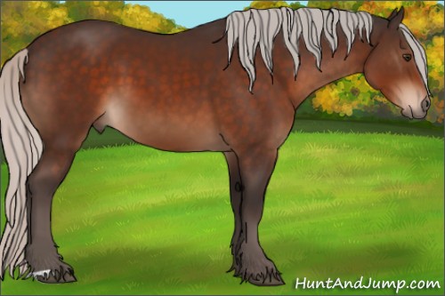 Horse Color:Silver Brown 