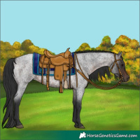 Horse Color:Brown Roan