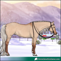 Horse Color:Chocolate Silver Bay Dun 