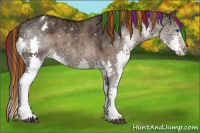 Horse Color:Painted Brown Ice Dun Splash Appaloosa 