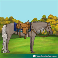 Horse Color:Silver Grullo 