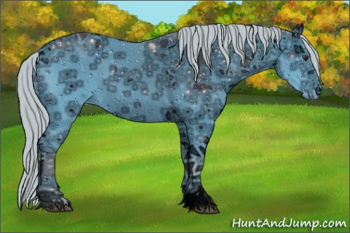 Horse Color:ERROR: UNKNOWN ANOMALY