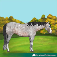 Horse Color:Brown Ice Roan Splash 