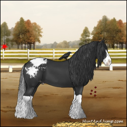 Horse Color:Black Splash Snowcap 