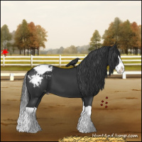 Horse Color:Black Splash Snowcap 