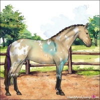 Horse Color:Painted White Spotted Buckskin Dun 