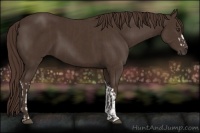 Horse Color:Liver Chestnut  and Liver Chestnut 