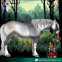 Horse Color:Silver Blue Onyx Chinchilla Rabicano