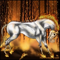 Horse Color:White Spotted Liver Chestnut Chinchilla Rabicano 