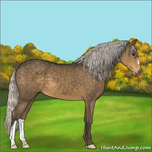 Horse Color:Silver Smoky Black 