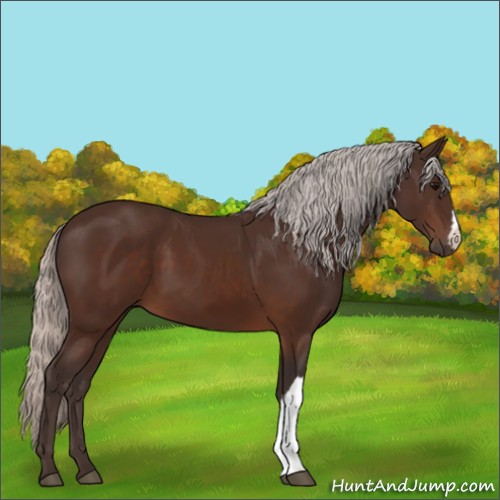 Horse Color:Silver Brown 
