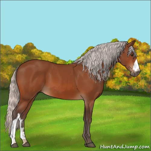 Horse Color:Silver Brown 