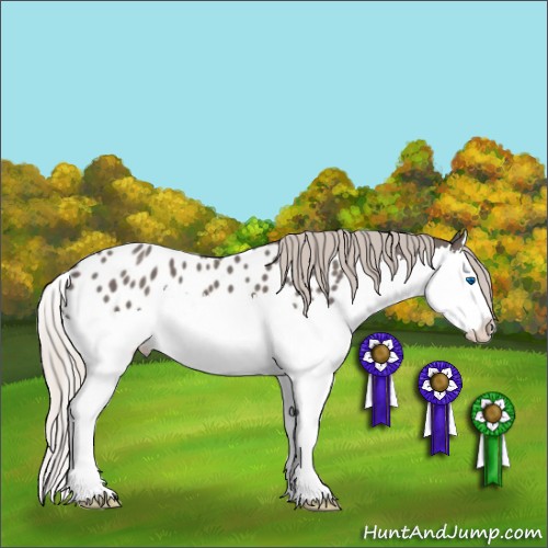 Horse Color:Silver Blue Roan Splash Appaloosa 