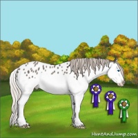 Horse Color:Silver Blue Roan Splash Appaloosa