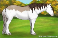 Horse Color:Liver Red Dun Splash 